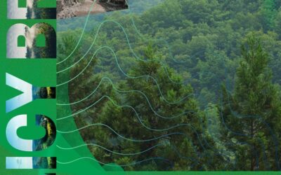 Policy Brief: Rekomendasi Percepatan Penetapan dan Fasilitasi Inklusi Hutan Adat