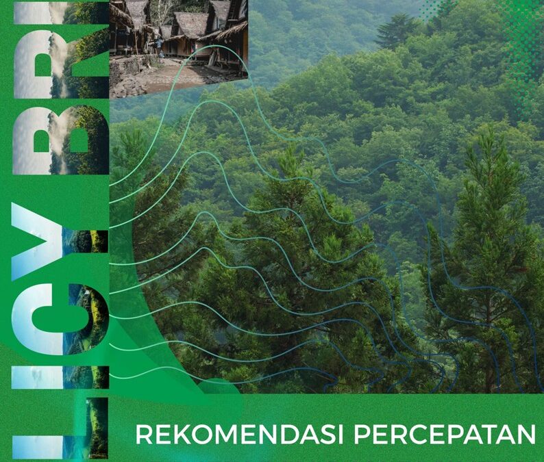 Policy Brief: Rekomendasi Percepatan Penetapan dan Fasilitasi Inklusi Hutan Adat
