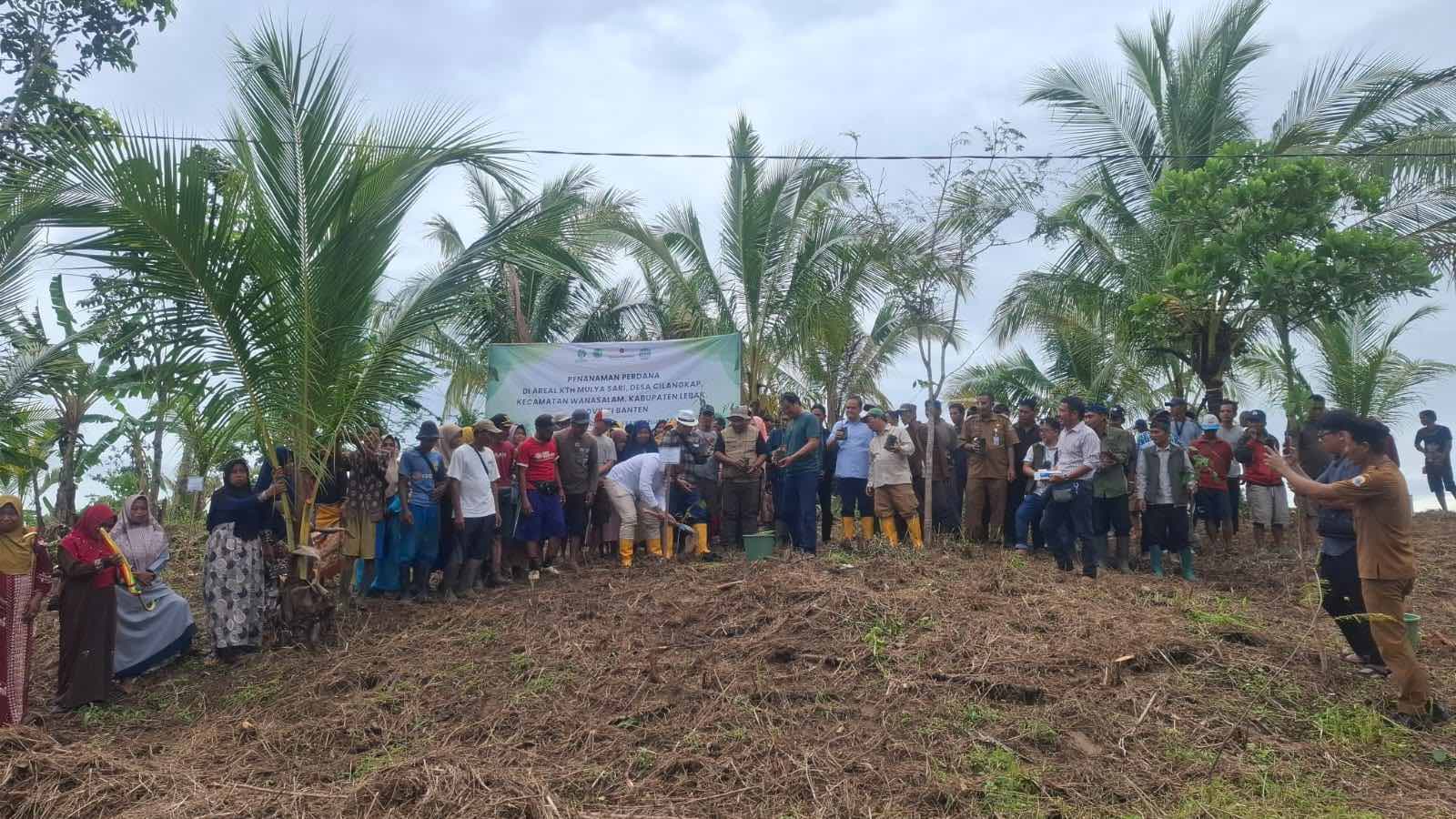 Penanaman Perdana Perhutanan Sosial di Desa Cilangkap, FKKM Dukung Pengelolaan Hutan Berkelanjutan