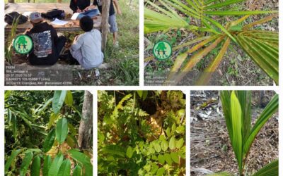 Geotagging Perhutanan Sosial Dorong Akurasi Data Restorasi Hutan di Cilangkap dan Malasari