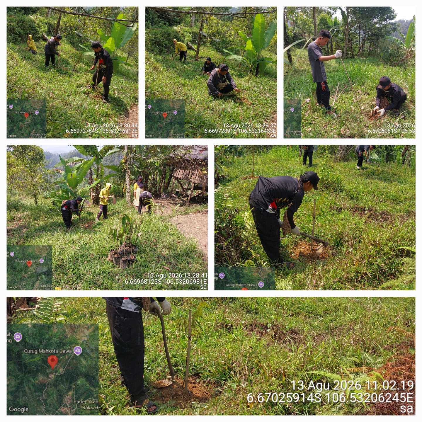 Geotagging dan Monitoring tanaman di blok Nyuncung , Desa Malasari | Foto by Suma Raharja